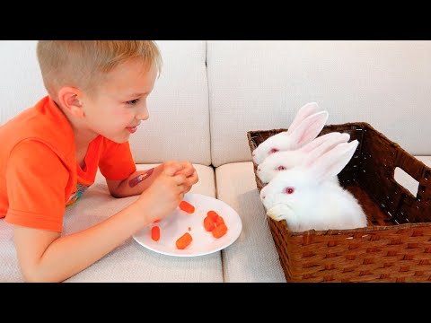 Vlad and Mom choose new pets