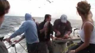 preview picture of video 'kilmore quay fishing for cod part 2'