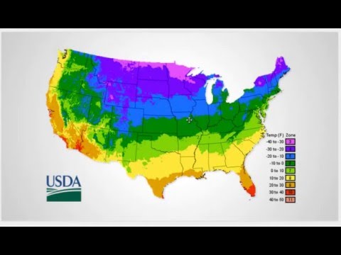 YouTube video about: What plant zone is nashville tennessee?