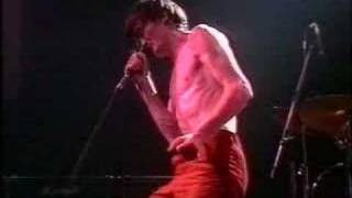 The Undertones - When Saturday Comes (live)