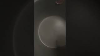 皿をつまようじで削る音