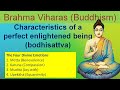 Brahma Viharas Maitra Karuna Mudit Upekkha Buddhism Philosophy Simplified