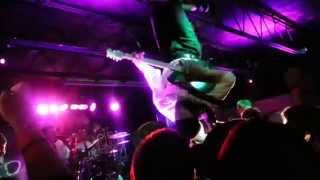 Worm in a Dog's Heart - Dog Fashion disco LIVE