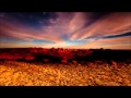 Steve Everitt - Arabian Daze 