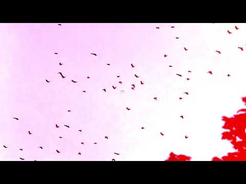 KRAZY BEATS BY KP (Music to let you out of ANGRY MOOD)