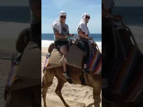 Camel Ride And Outback Adventure Excursion In Cabo San Luca