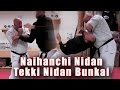 Practical Kata Bunkai Naihanchi Tekki Nidan