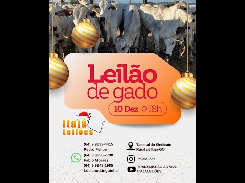 LEILÃO DA ITAJÁ LEILÕES