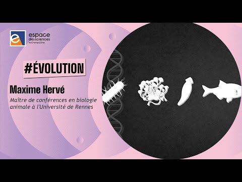 🧬 [Maxime Hervé] L'évolution du vivant, un progrès ?