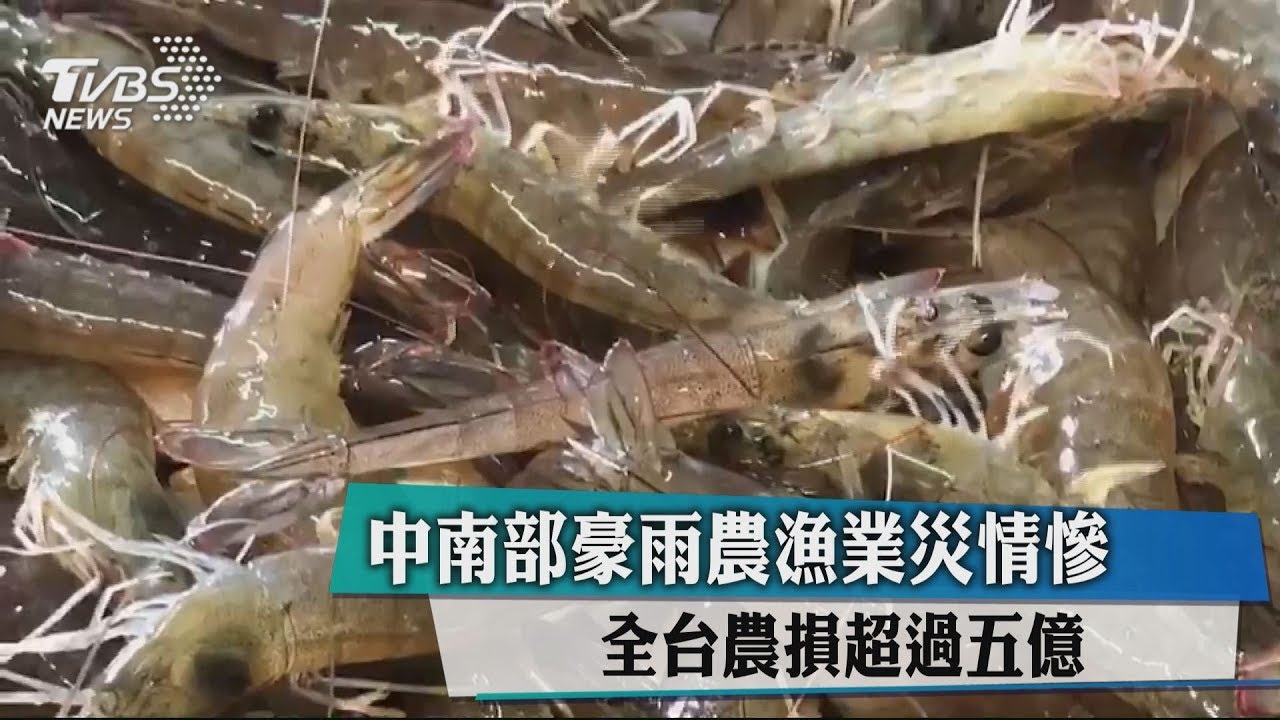 中南部豪雨農漁業災情慘 全台農損超過5億
