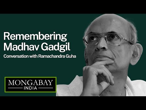 Celebrating the life and work of Madhav Gadgil | Conversation with Ramachandra Guha