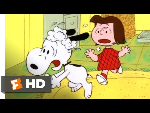 Snoopy, Come Home (1972) - Fundamental-Friend-Dependability Scene (3/10) | Movieclips (Snoopy, Come Home (1972) - Fundamental-Friend-Dependability Scene (3/10) | Movieclips)