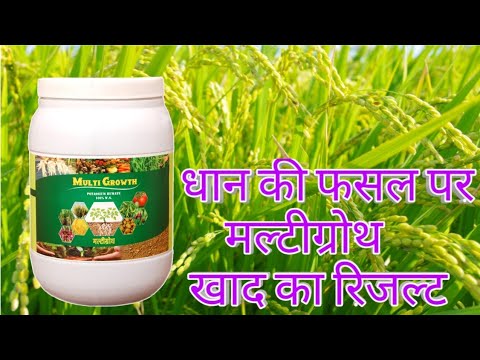 Crystal Bio-Tech Grade 1 Kg Multi Growth Potassium Humate Soil Conditioner, For Agriculture, Packaging Type: Jar