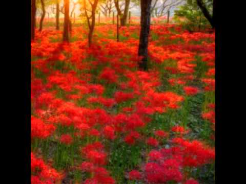 Louisa lydie Eniang TERRE PROMISE