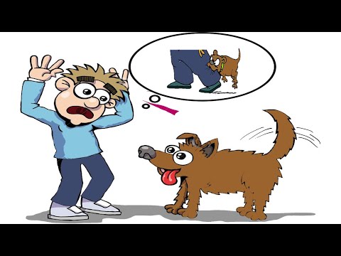 American Sign Language ASL Video Dictionary - probably