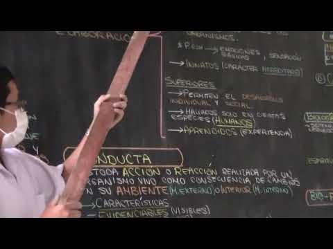 INTRODUCCIÓN A LA PSICOLOGÍA