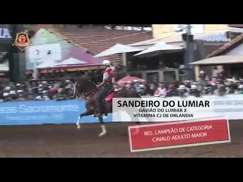 Sandeiro do Lumiar.36° nacional do mm