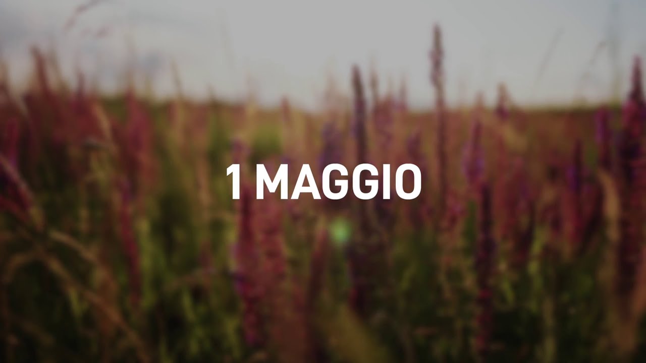 1 Maggio 2025 | Meditazione Parole di Vita