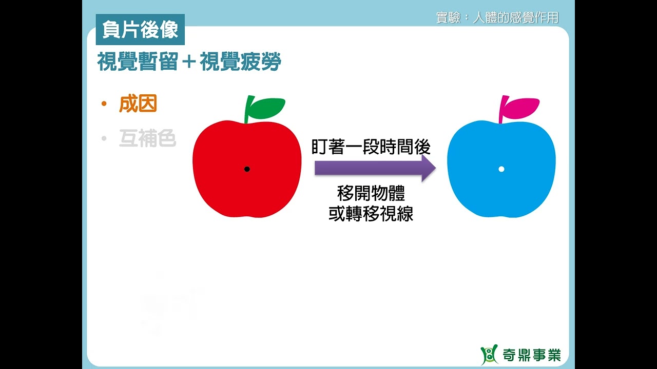 單元4：人體的感覺作用