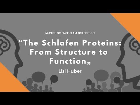 "The Schlafen Proteins: From Structure to Function“ - Lisi Huber
