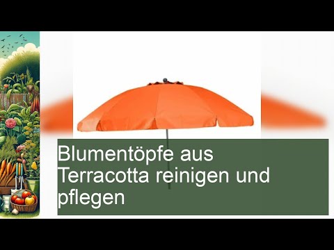 Blumentöpfe aus Terracotta reinigen und pflegen