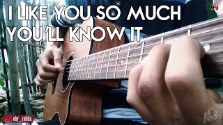 Download lagu (Ysabelle Cuevas) I Like You So Much, You’ll Know It - Fingerstyle Guitar Cover mp3
