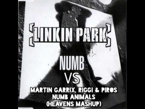 Linkin Park vs. Martin Garrix, Riggi & Piros - Numb Animals (Heavens Mashup)