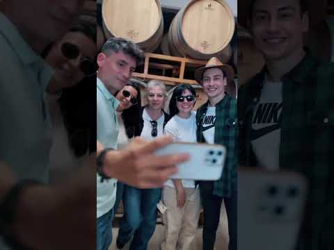 El sabor de nuestra tierra: Ruta del Vino Riojano