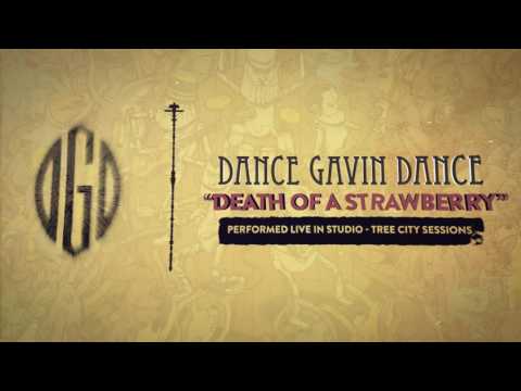 Dance Gavin Dance - Death Of A Strawberry (Tree City Sessions)