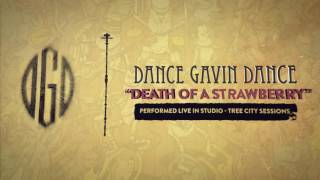 Dance Gavin Dance - Death Of A Strawberry (Tree City Sessions)