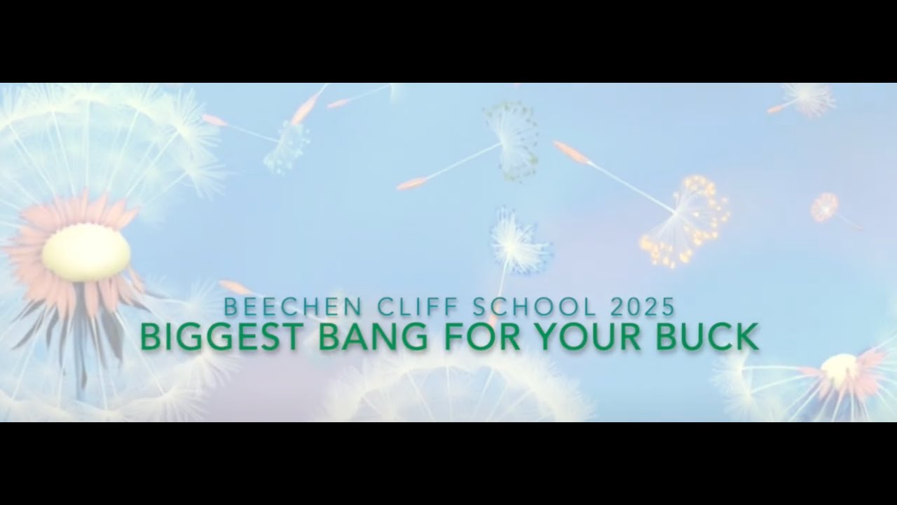 Solution Focus - the biggest bang for your buck