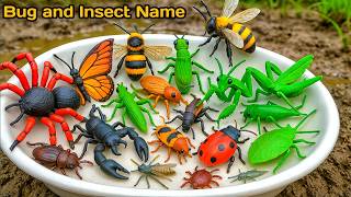 31 Amazing Bugs and Insects for Kids | Names and Fun Facts gameplay video by saraqmv, 3:05 duration