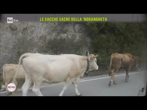 La deformità del ginocchio nei bambini ICD-10 20 min contro osteocondrosi