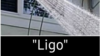 Download lagu Ligo Challenge feat. Lovely Camilla| #Shorts mp3 Download lagu Ligo Challenge feat. Lovely Camilla| #Shorts mp3