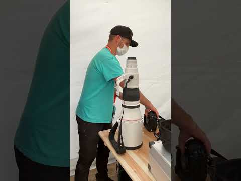 Canon EF 600 f4 is iii  with @peterbrichta