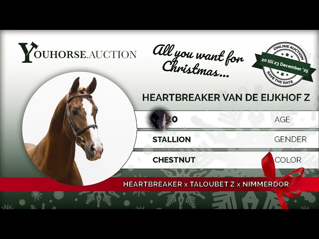 Heartbreaker van de Eijkhof Z trainingsvideo
