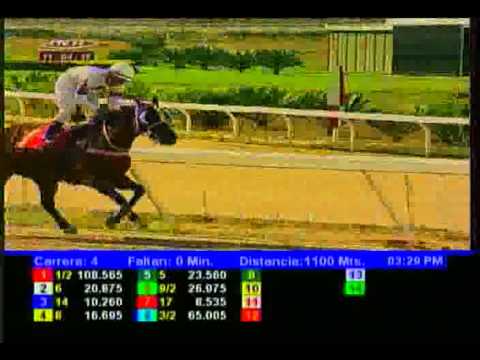 Resumen Sábado, 11 de Abril de 2015 - La Rinconada