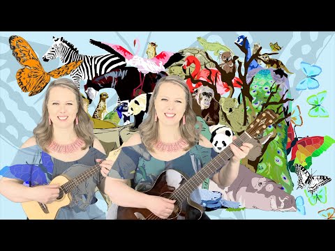Amnestie (Karel Plíhal) - na kytaru a ukulele