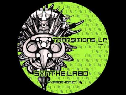 hydrophonic 18 - synthe.labo 