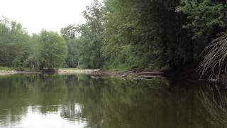 preview picture of video 'Kayaking Fish Creek (Saratoga County) - Great Blue Heron'