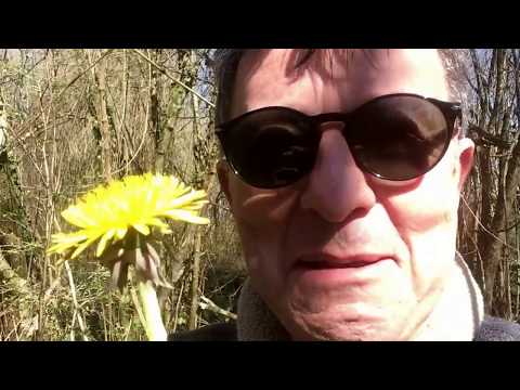 La josinète (courir la...)