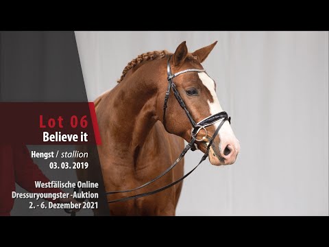 Online Dressuryoungster-Auktion Lot 06 Believe it Hengst v. Benicio - Fürst Heinrich
