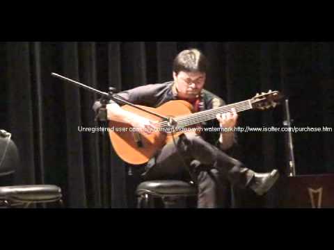 Flamenco - Fernando De La Rua - Dez-10.avi
