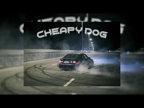 CHEAPY DOG (Prod.Syringe)