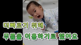 [생후 215일] 더빠르기 위해 무릎을 이용하기로 했어요