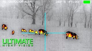 80 Hogs Down with the FLIR ThermoSight Pro PTS233