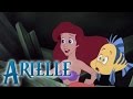 Arielle - Die Meerjungfrau - Disney DVD und Blu ...