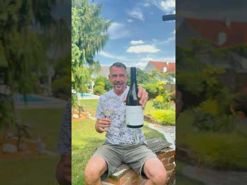 Verkostungsvideo: Singular 2024 Bio 