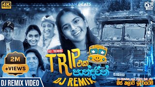 Download lagu Trip Eka Pandarin ( ලස්සන ලයිට් දමා) DJ REMIX || #visualizer || @SAWANBEATS mp3 Download lagu Trip Eka Pandarin ( ලස්සන ලයිට් දමා) DJ REMIX || #visualizer || @SAWANBEATS mp3