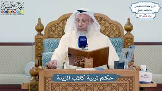 5125- حكم تربية كلاب الزينة - عثمان الخميس